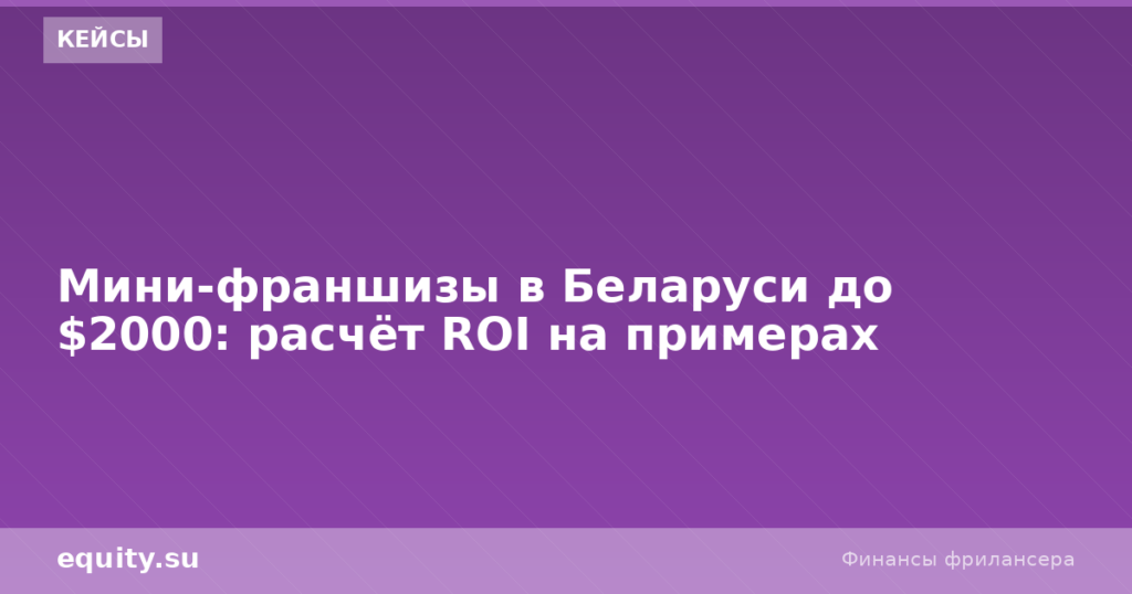 Мини-франшизы в Беларуси до $2000: ROI расчёт